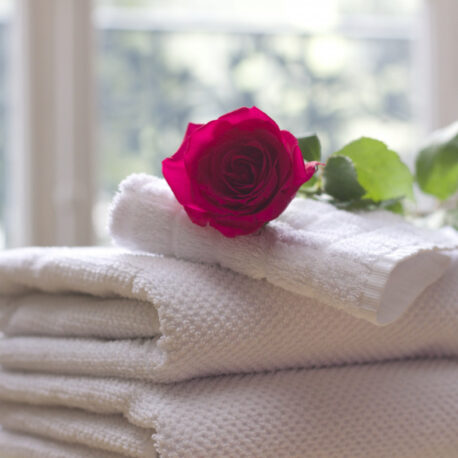 towel_rose_clean_care_salon_spa_white_bath-731641